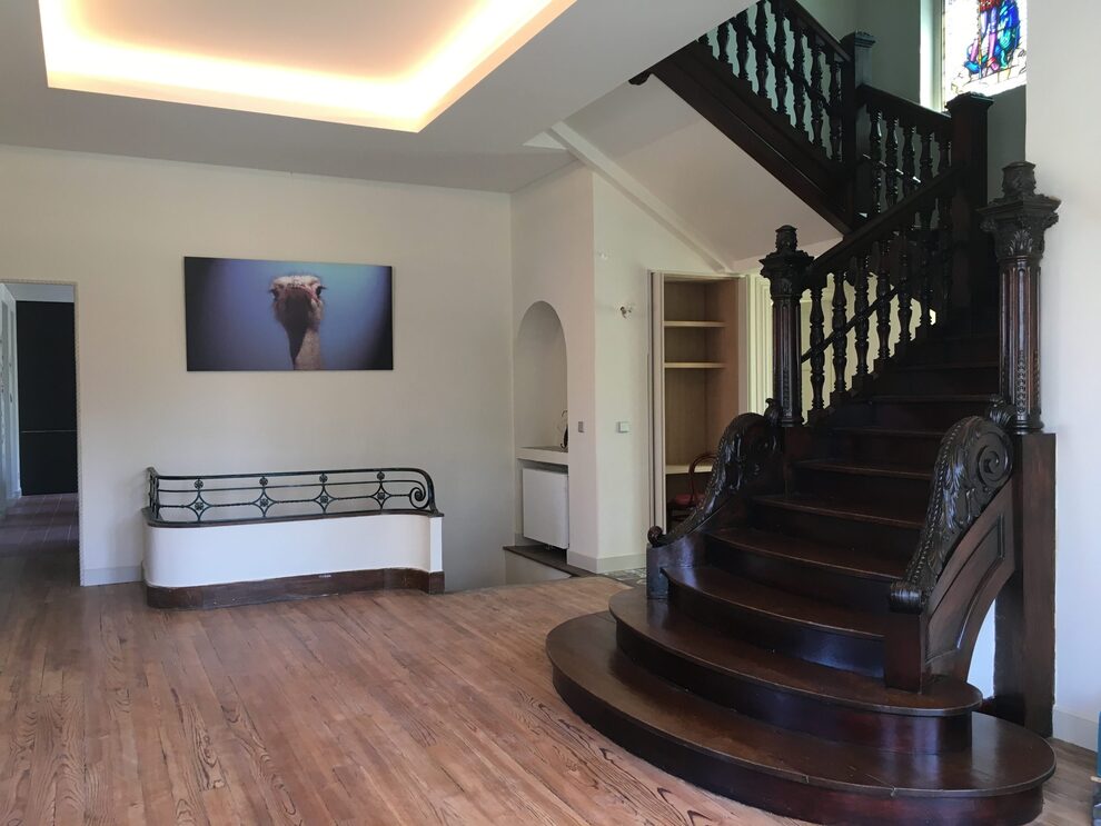 Rénovation de luxe